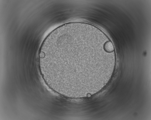 X0000115181053200912091042
