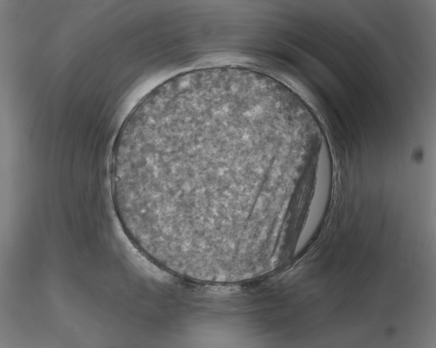 X0000115181055200912091042