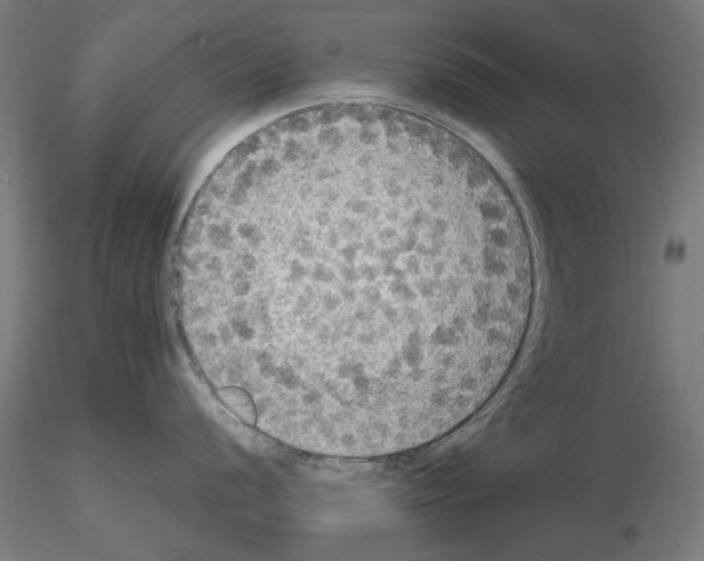 X0000115181056200912091042