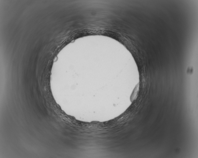 X0000115181057200912091042