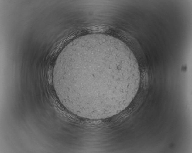 X0000115181058200912091042