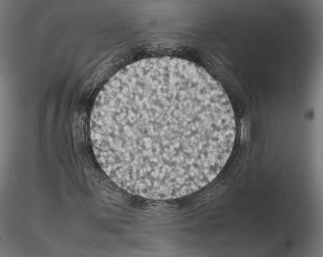 X0000115181059200912091042