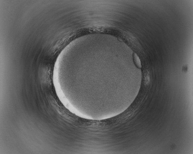 X0000115181060200912091042