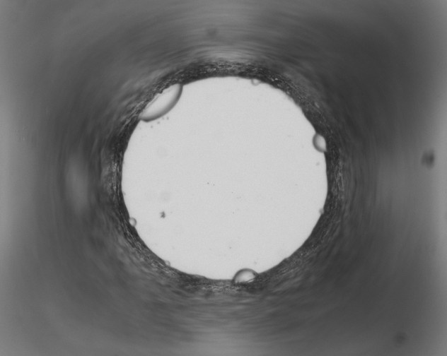 X0000115181061200912091042