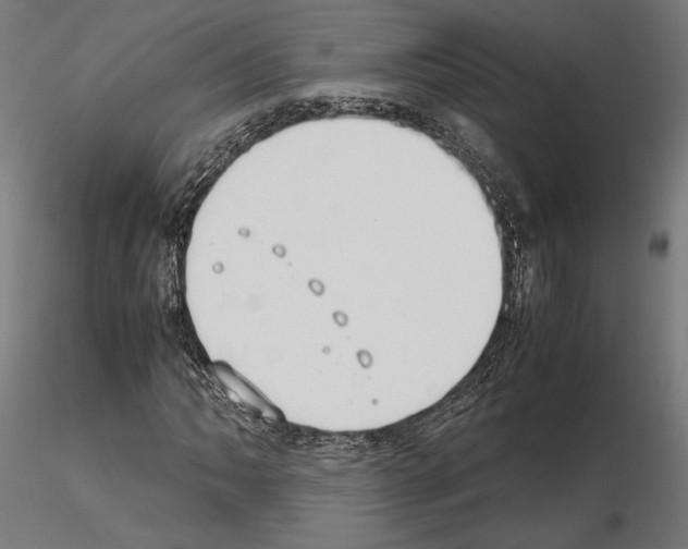 X0000115181062200912091042