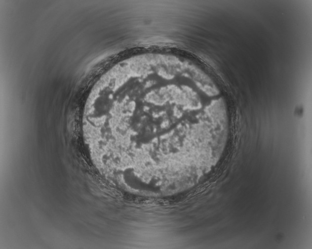 X0000115181063200912091042