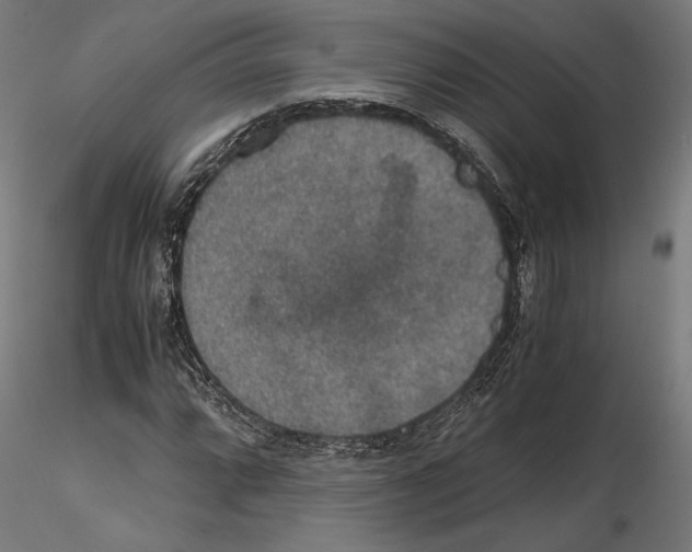 X0000115181064200912091042