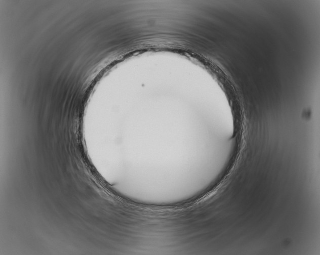 X0000115181065200912091042