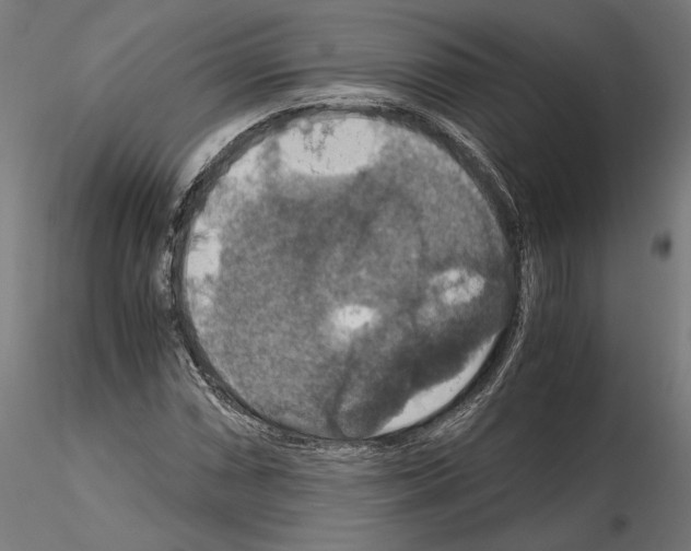 X0000115181066200912091042