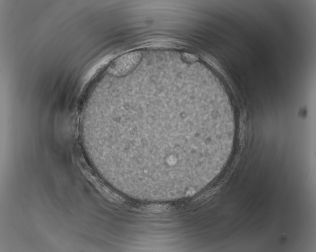 X0000115181067200912091042