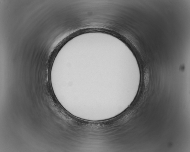 X0000115181069200912091041