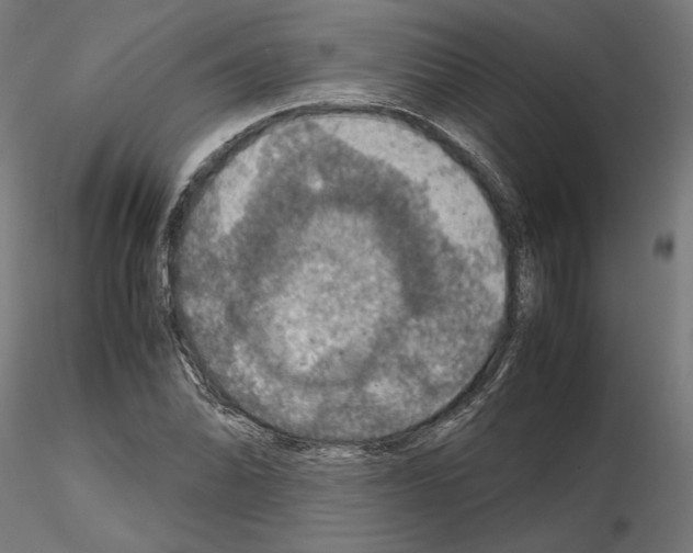 X0000115181070200912091041