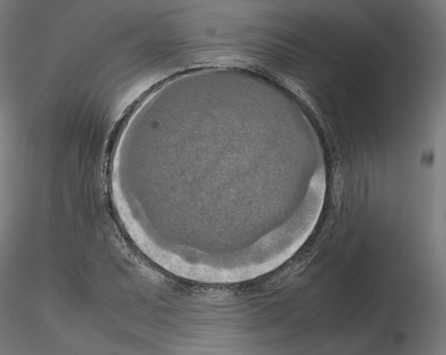 X0000115181071200912091041