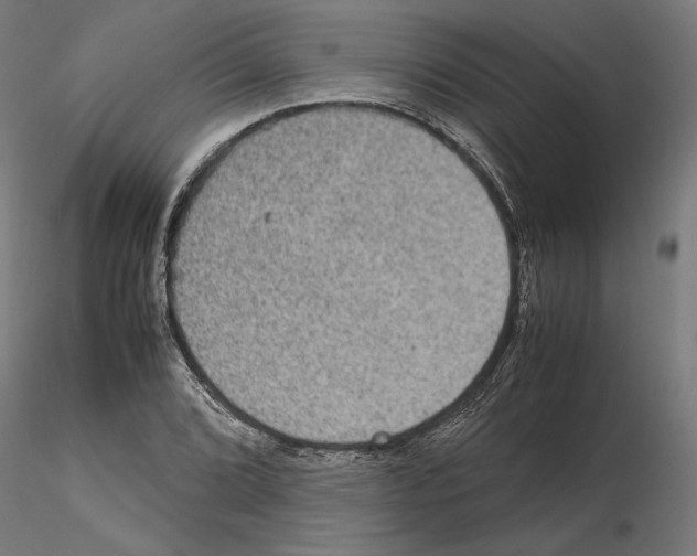 X0000115181072200912091041
