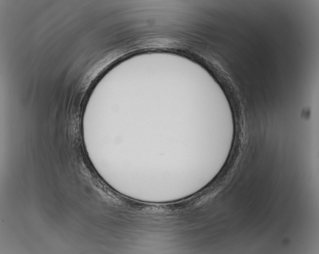 X0000115181073200912091041