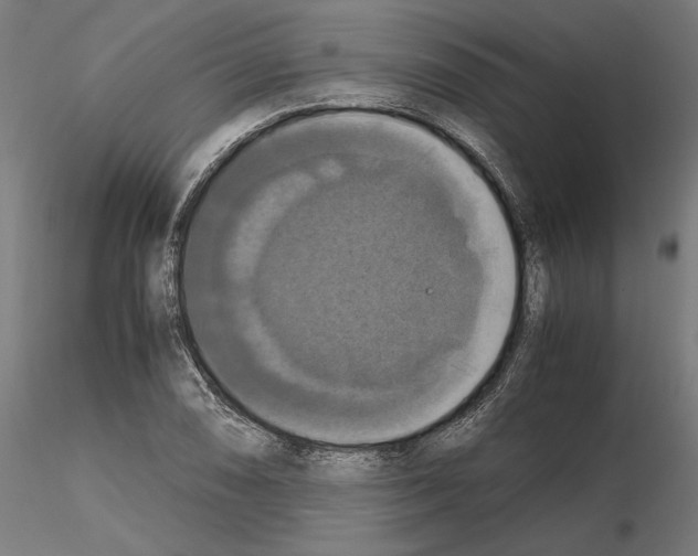 X0000115181074200912091041