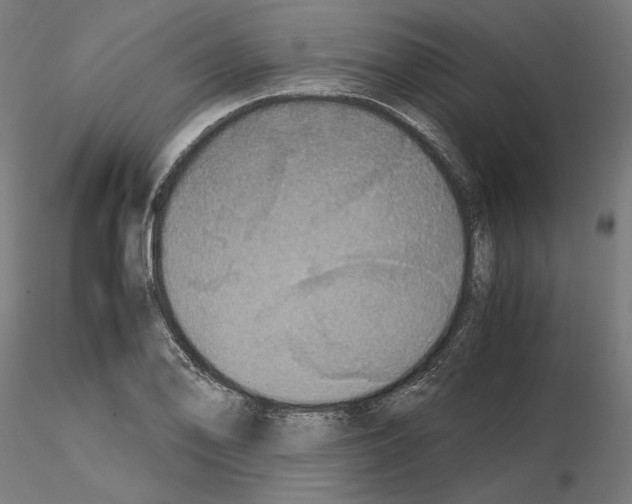X0000115181078200912091041