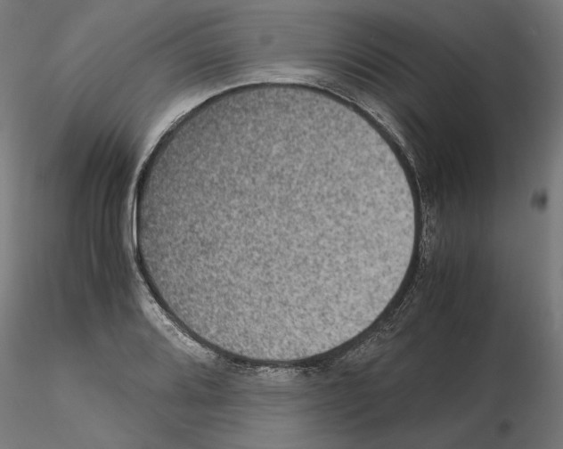 X0000115181080200912091041