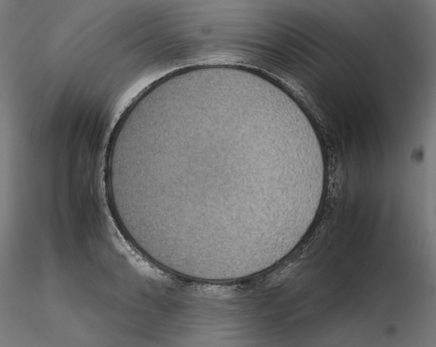 X0000115181086200912091041