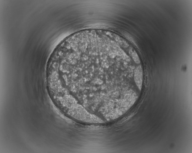X0000115181087200912091041