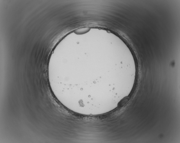 X0000115181089200912091041