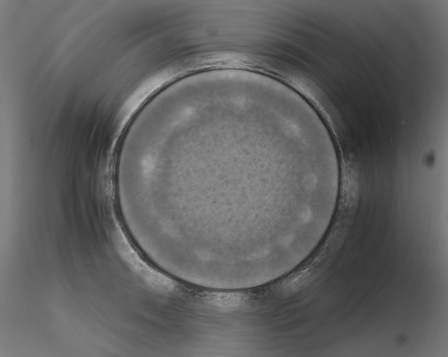 X0000115181090200912091041