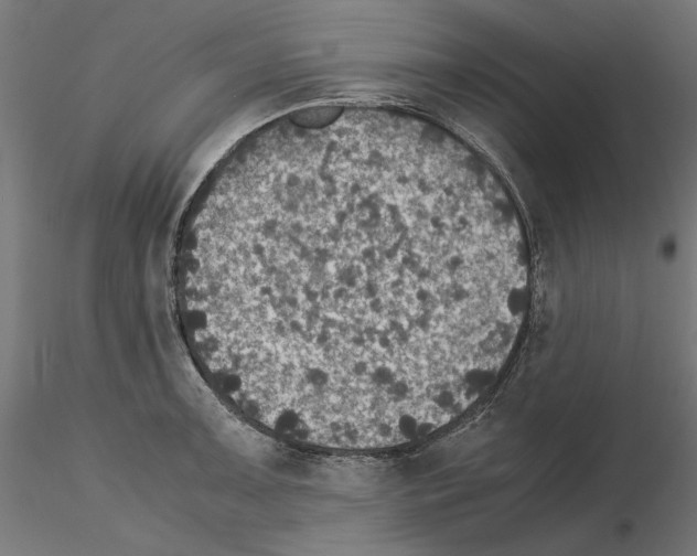 X0000115181091200912091041