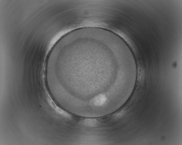 X0000115181094200912091041