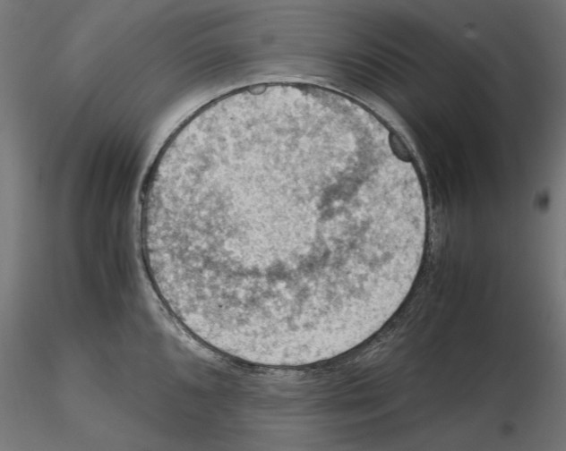 X0000115181096200912091041