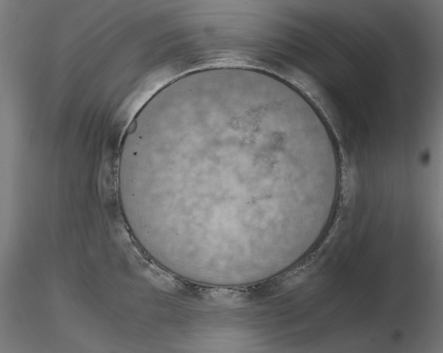 X0000115181097200912091041
