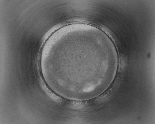 X0000115181098200912091041