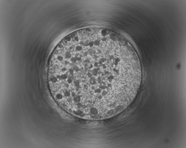X0000115181099200912091041