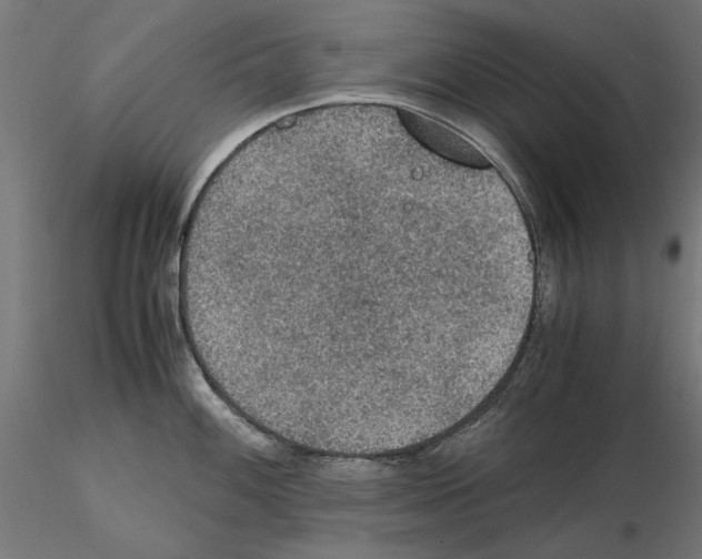 X0000115181100200912091041