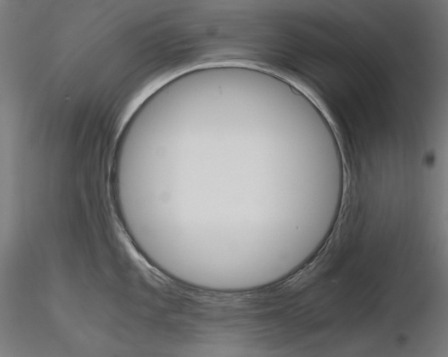 X0000115181101200912091041