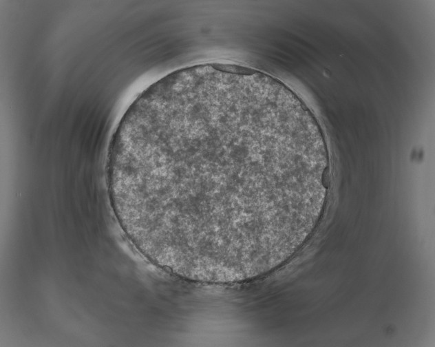 X0000115181104200912091041
