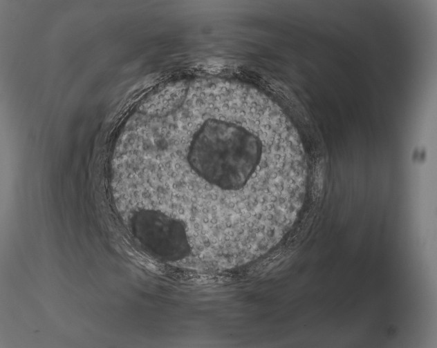 X0000115181105200912091040