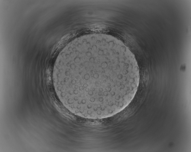 X0000115181106200912091040