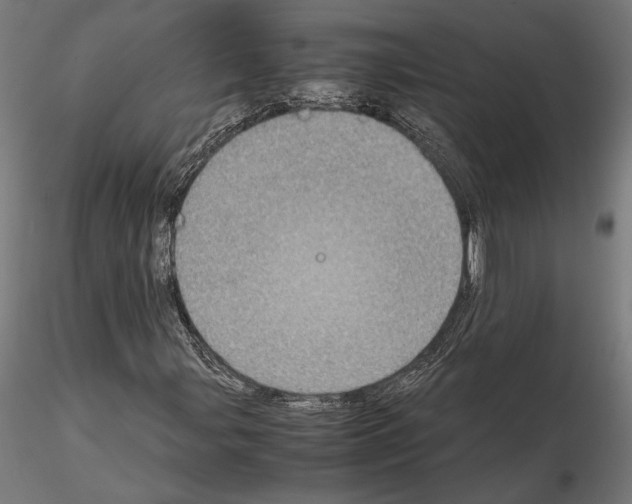 X0000115181107200912091040