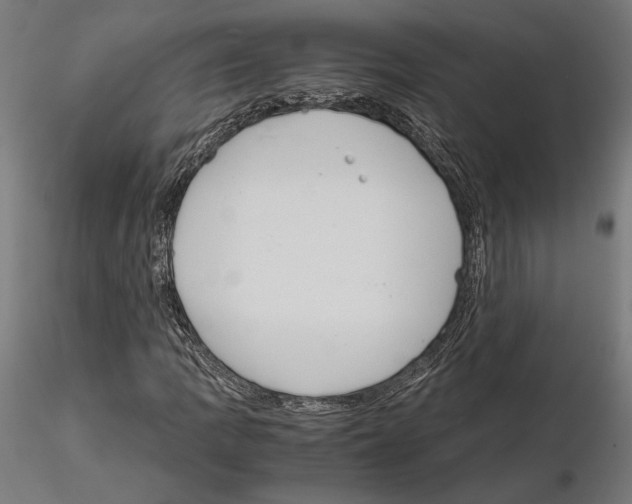 X0000115181109200912091040