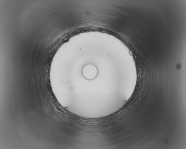 X0000115181110200912091040