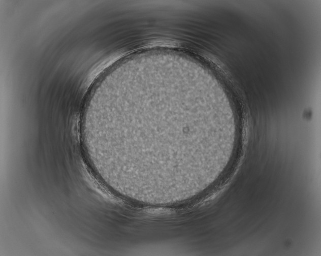 X0000115181113200912091040
