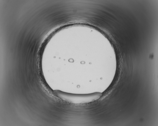 X0000115181118200912091041