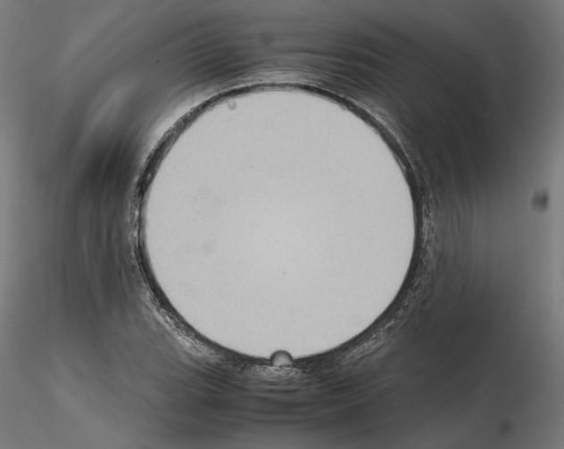 X0000115181119200912091041