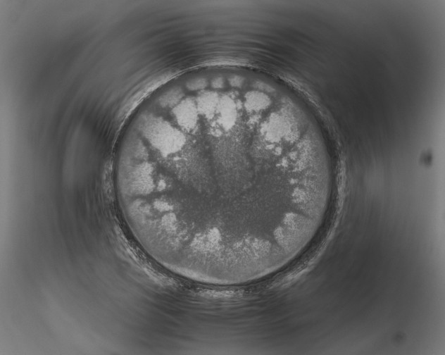 X0000115181121200912091041