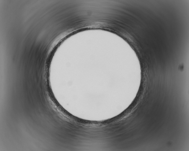 X0000115181122200912091041