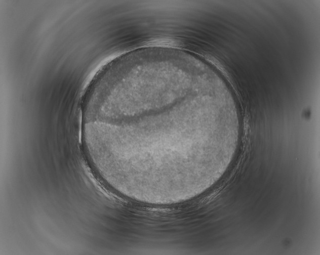 X0000115181123200912091041