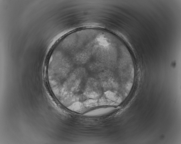 X0000115181125200912091041