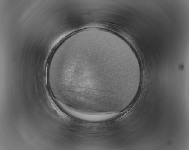 X0000115181127200912091041