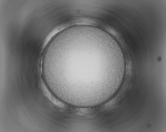 X0000115181130200912091041