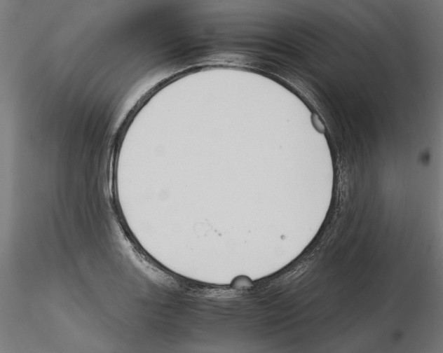 X0000115181131200912091041